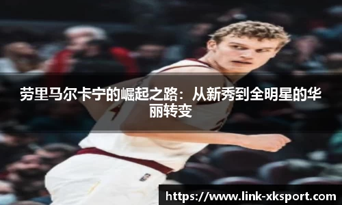 星空体育在线官网