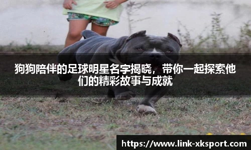 狗狗陪伴的足球明星名字揭晓，带你一起探索他们的精彩故事与成就